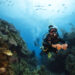 padi diver swimming in the bahamas