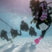 An instructor leads her class in an Open Water Diver Course.