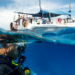 PADI-Bahamas-June-2017-underwater-3861