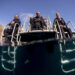 adaptive diving week three divers about to jump in