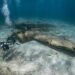 two scuba divers explore an airplane wreck in the Bahamas